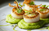 Coquilles Saint-Jacques with Pea Puree, Lime-Coriander Mayonnaise & Crispy Shallots Recipe